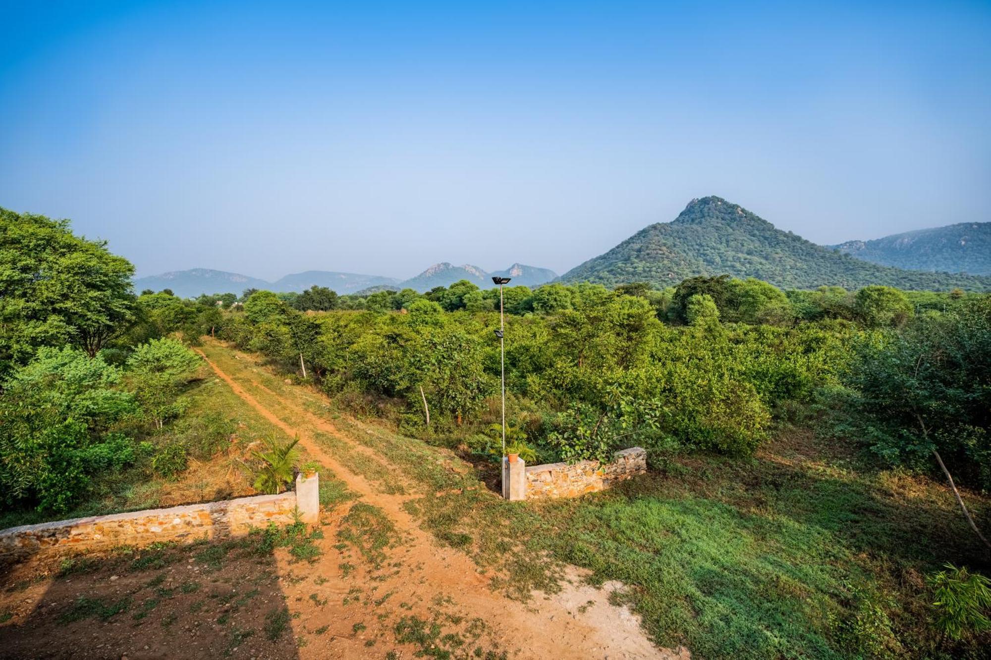 Guldaar Sariska - A Luxury Forest Resort Tehla Екстериор снимка